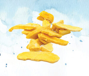 Freeze Dried Mangoes - 2 oz.